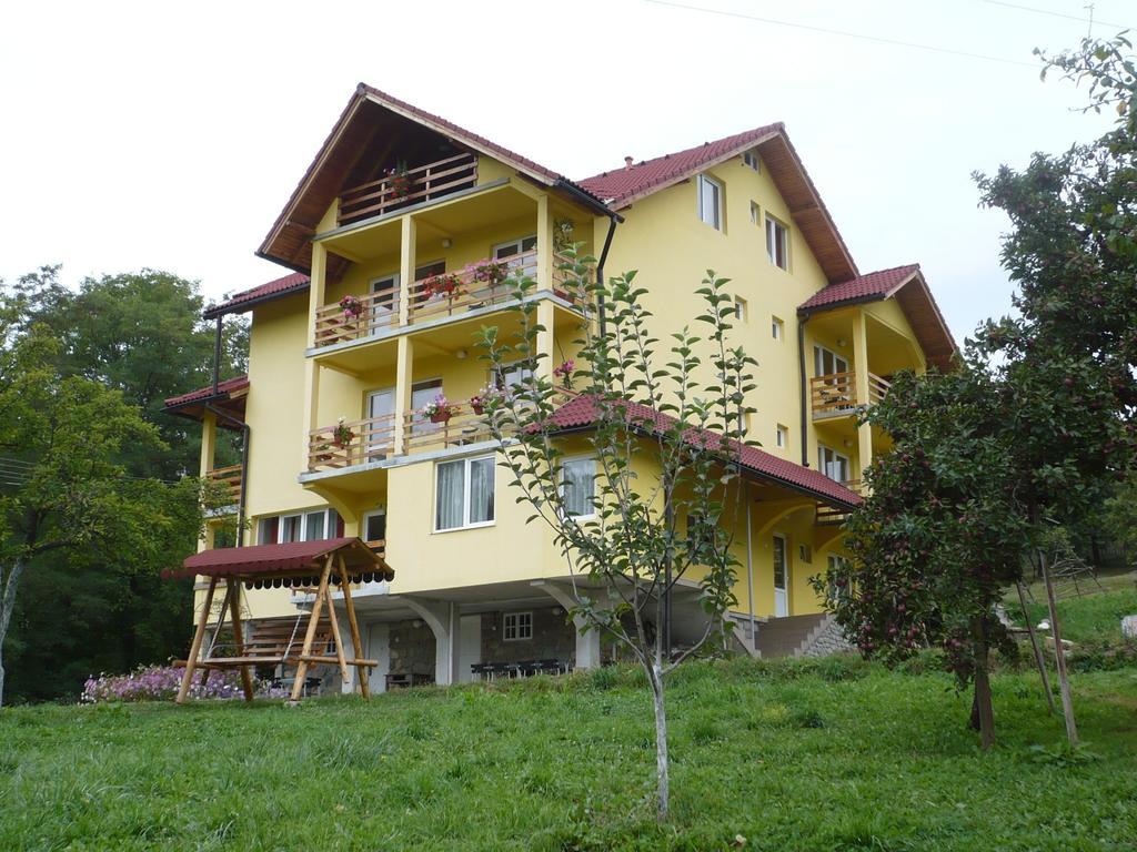 Pensiunea Tiuta Hotel Corbeni Exterior photo
